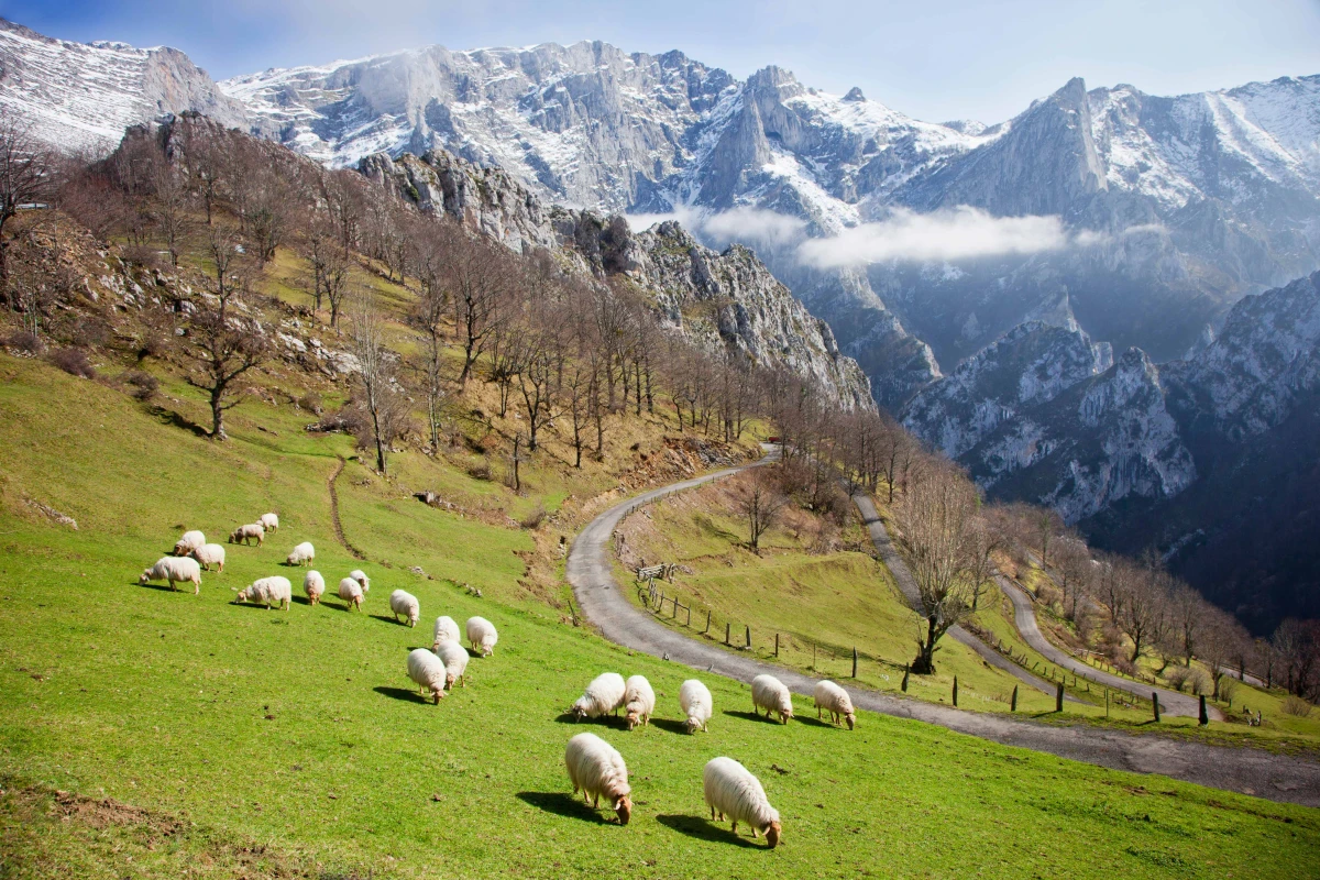 Asturias y Cantabria, los Picos de Europa