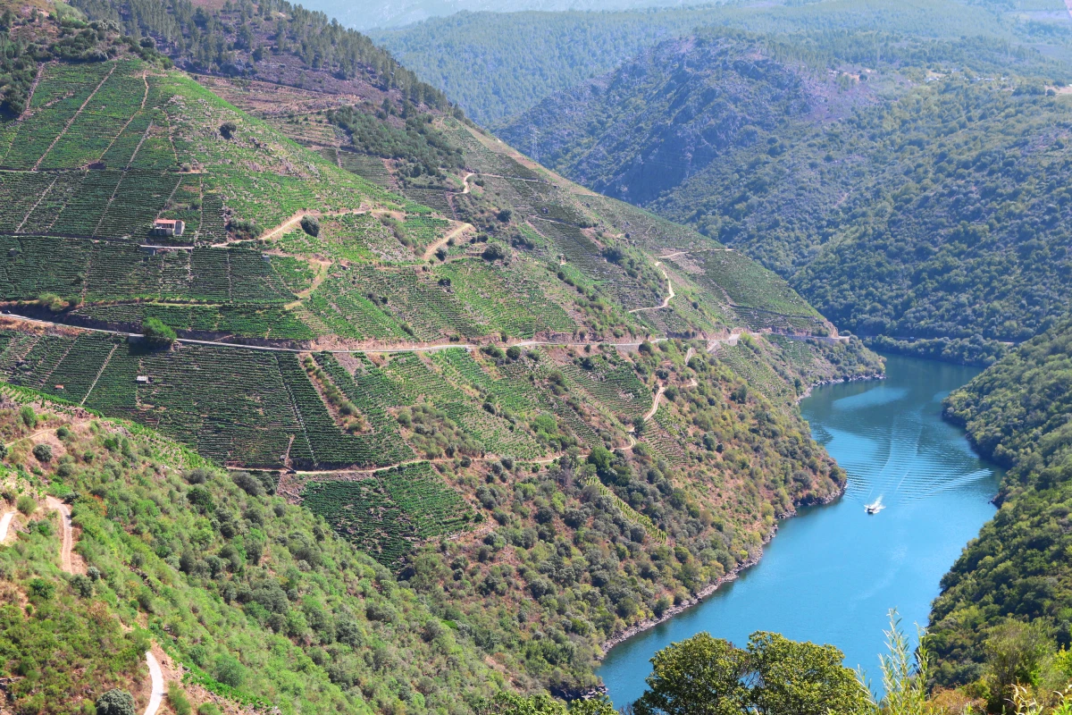 Galicia con crucero por las Rías