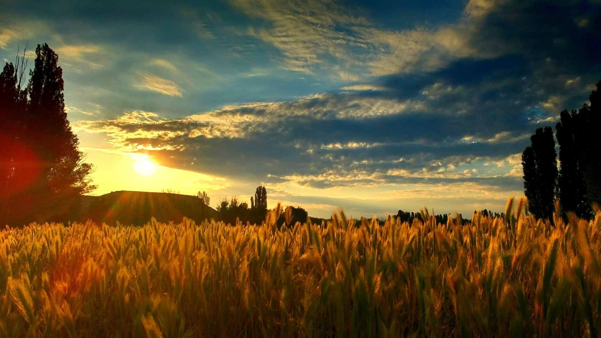 León, Zamora y los Arribes del Duero