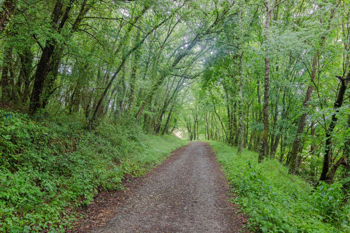 Fiordos Leoneses, el Bierzo y la Maragatería