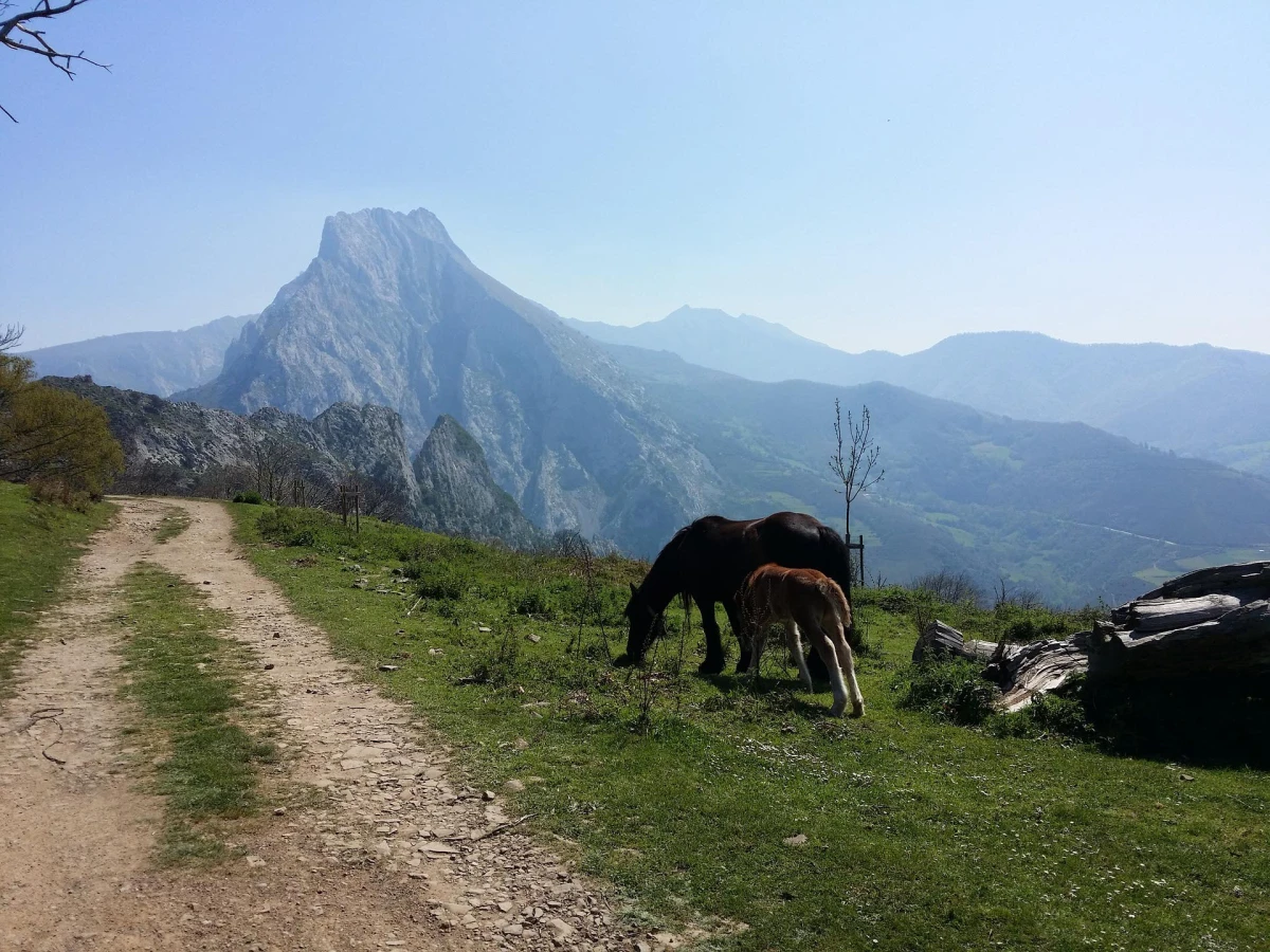 Asturias, Cantabria y Picos de Europa