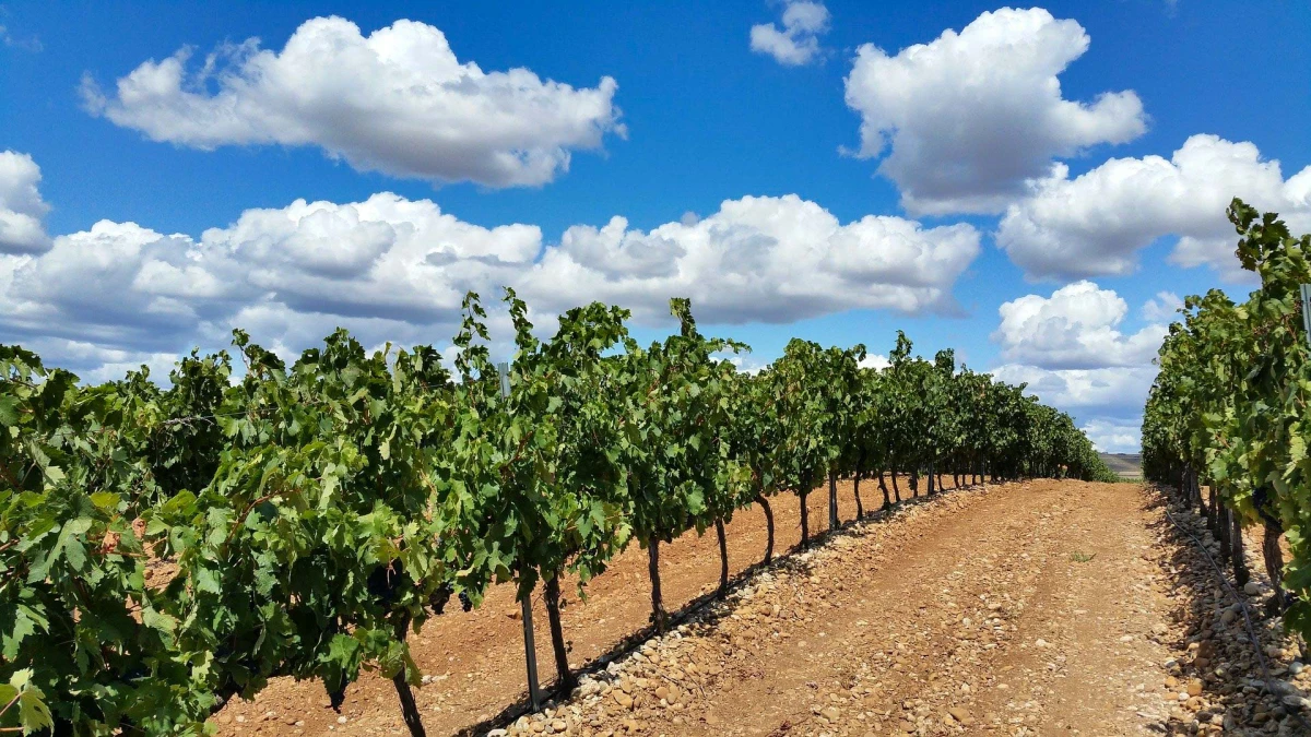 La Rioja y Navarra