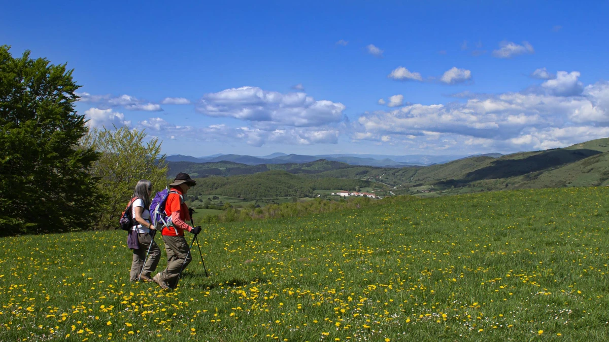 Viaje Camino de Santiago organizado