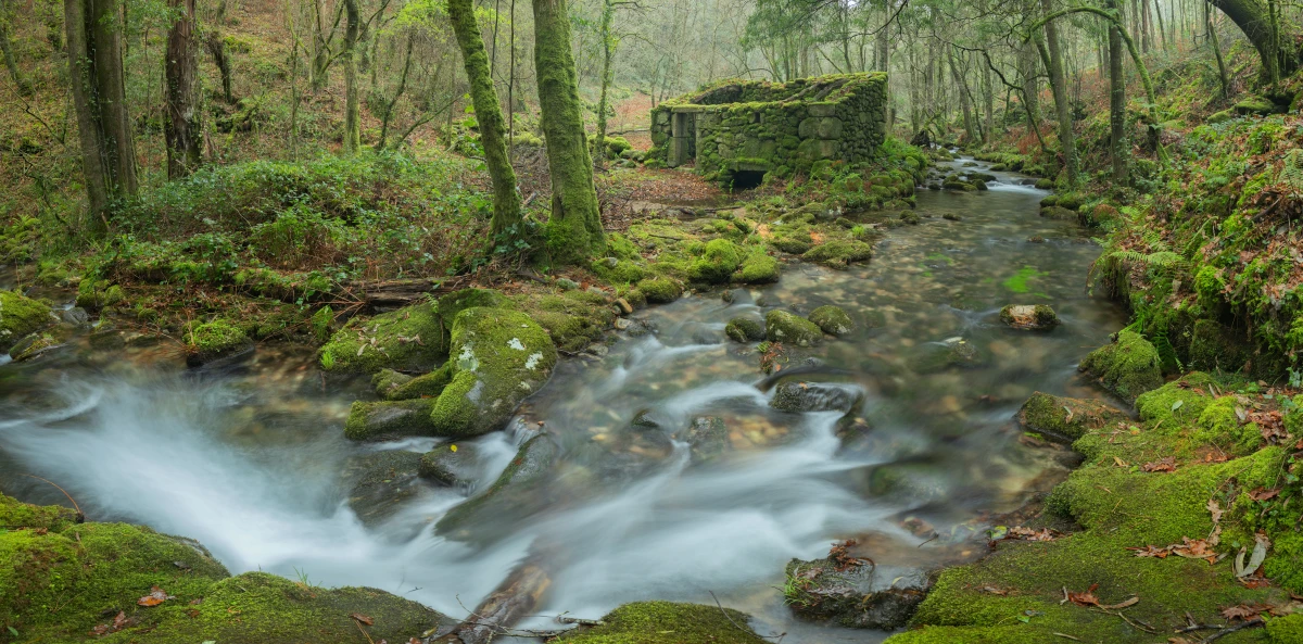 Ribeira Sacra con los cañones del Río Sil