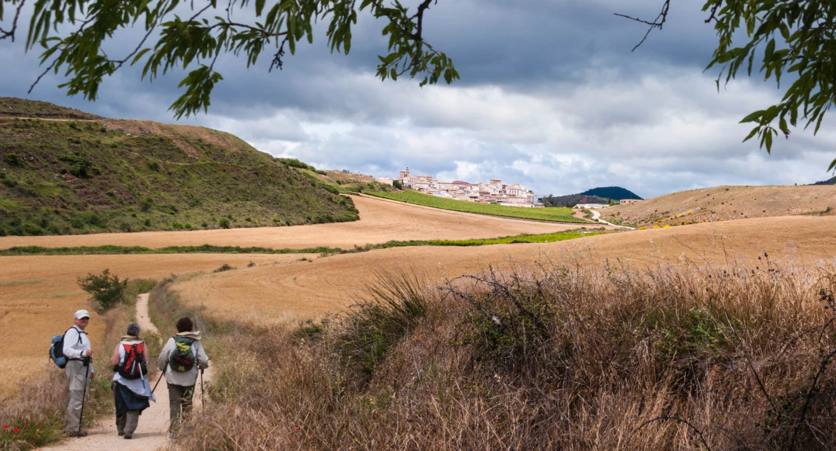 Camino de Santiago, transporte incluido